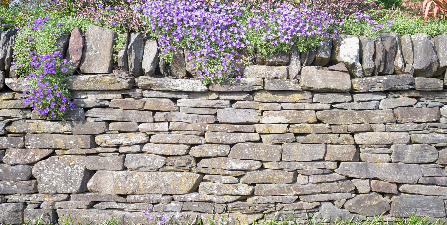 drystone-dyking-stirling